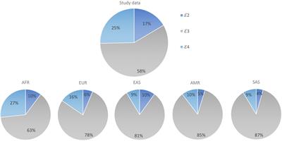 Apolipoprotein E Genetic Variation and Its Association With Cognitive Function in Rural-Dwelling Older South Africans